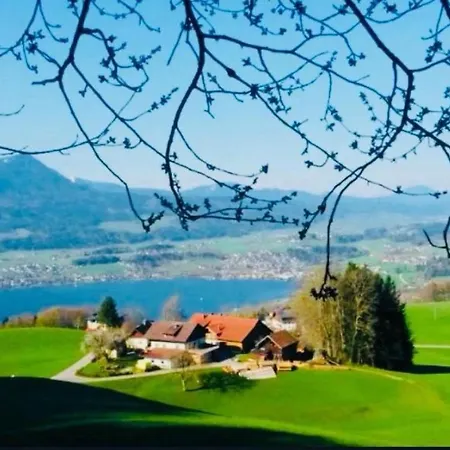 Mondseeblick Tiefgraben